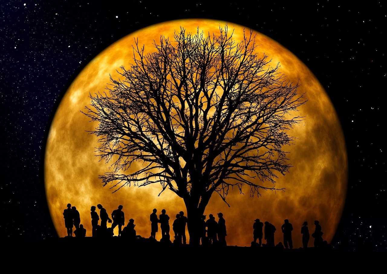 tree, bald, wallpaper 4k, moon, people, free wallpaper, group, desktop backgrounds, 4k wallpaper 1920x1080, full hd wallpaper, 4k wallpaper, free background, wallpaper hd, beautiful wallpaper, silhouette, background, night, eve, cool backgrounds, the atmosphere, mac wallpaper, mood, nature, hd wallpaper, gold, windows wallpaper, yellow, laptop wallpaper, moonlight