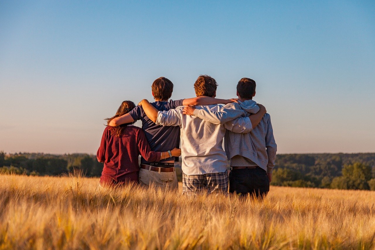 young people, group, friends, friendship, nature, together, summer, landscape, field, outdoors, youth, support, gang, teens, friendship day